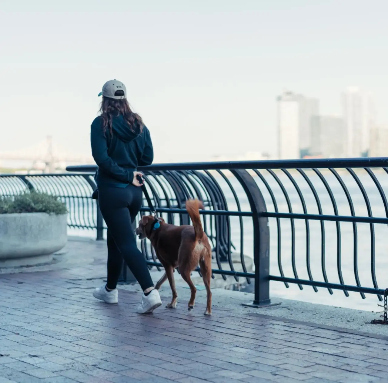 Woman walking dog at waterfront walkway along east river near Kips Bay condominiums at Hendrix House NYC.
